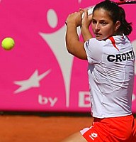 click for Fed Cup gallery
