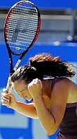 click for Jankovic news photo search